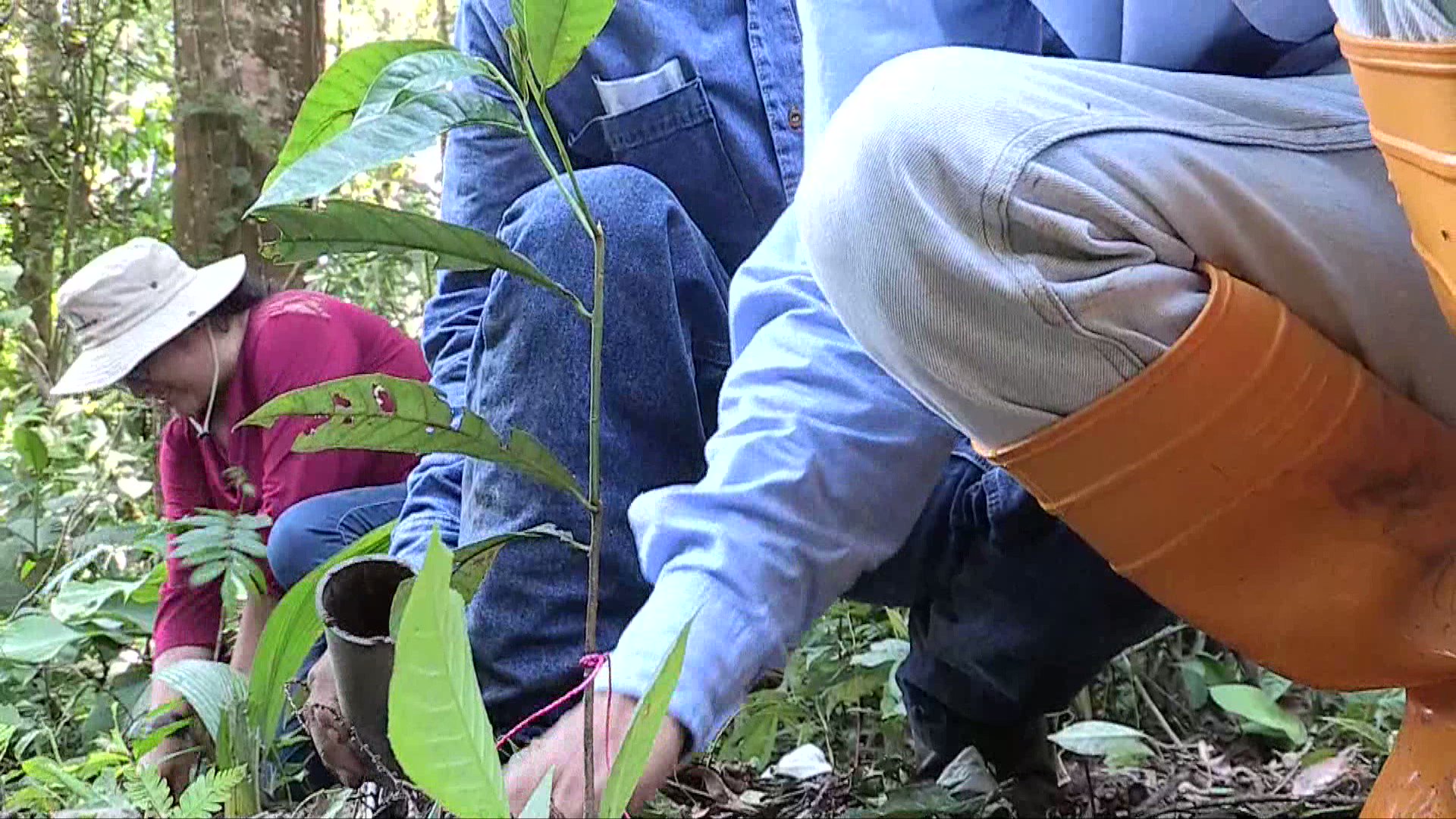 David Kaplan (@David_S_Kaplan) / Twitter