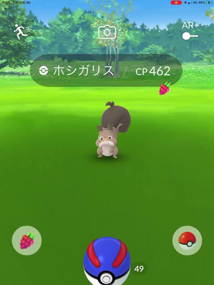 ポケモンgo ホシガリスの入手方法 能力 技まとめ 攻略大百科