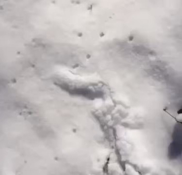 jon-mullen-on-twitter-6-feet-of-snow-expected-in-buffalo-this-weekend