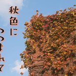 ツイートに含まれる画像