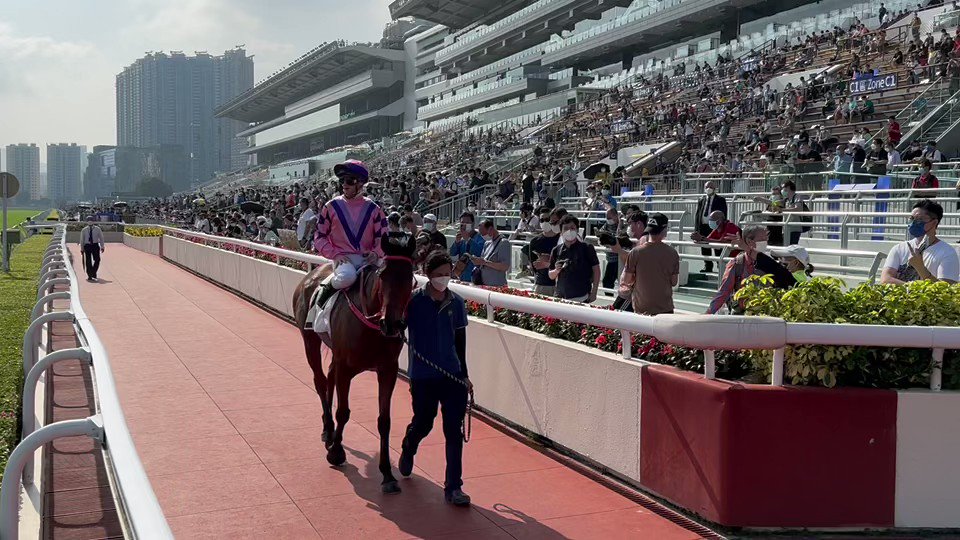 zpurton-s-on-the-board-hkir-hkracing-hkir-hkracing-hkjc