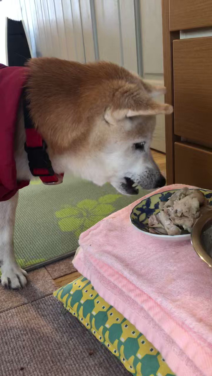 Hverbnjoxooivm