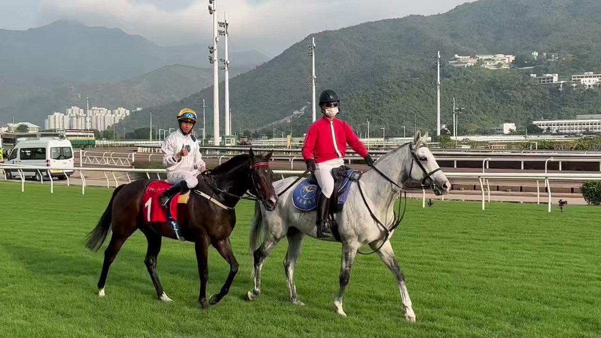 Hkjc Racing Calendar 2025 Pdf Download 