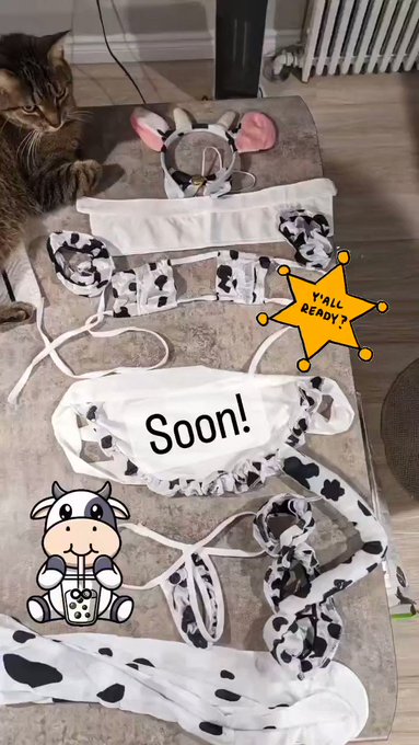 Guess who's back, with a brand new fit ;)   Mooove shit around in your calendar 'cause new video dropping<a href="/tag/cosplay"class="tags"><span>#cosplay</span></a><a href="/tag/photoset"class="tags"><span>#photoset</span></a><a href="/tag/cosplaygirl"class="tags"><span>#cosplaygirl</span></a><a href="/tag/fairytail"class="tags"><span>#fairytail</span></a><a href="/tag/lucyheartfilia"class="tags"><span>#lucyheartfilia</span></a>