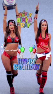 Happy birthday to the Bella twins have a great one Brie&Nikki 