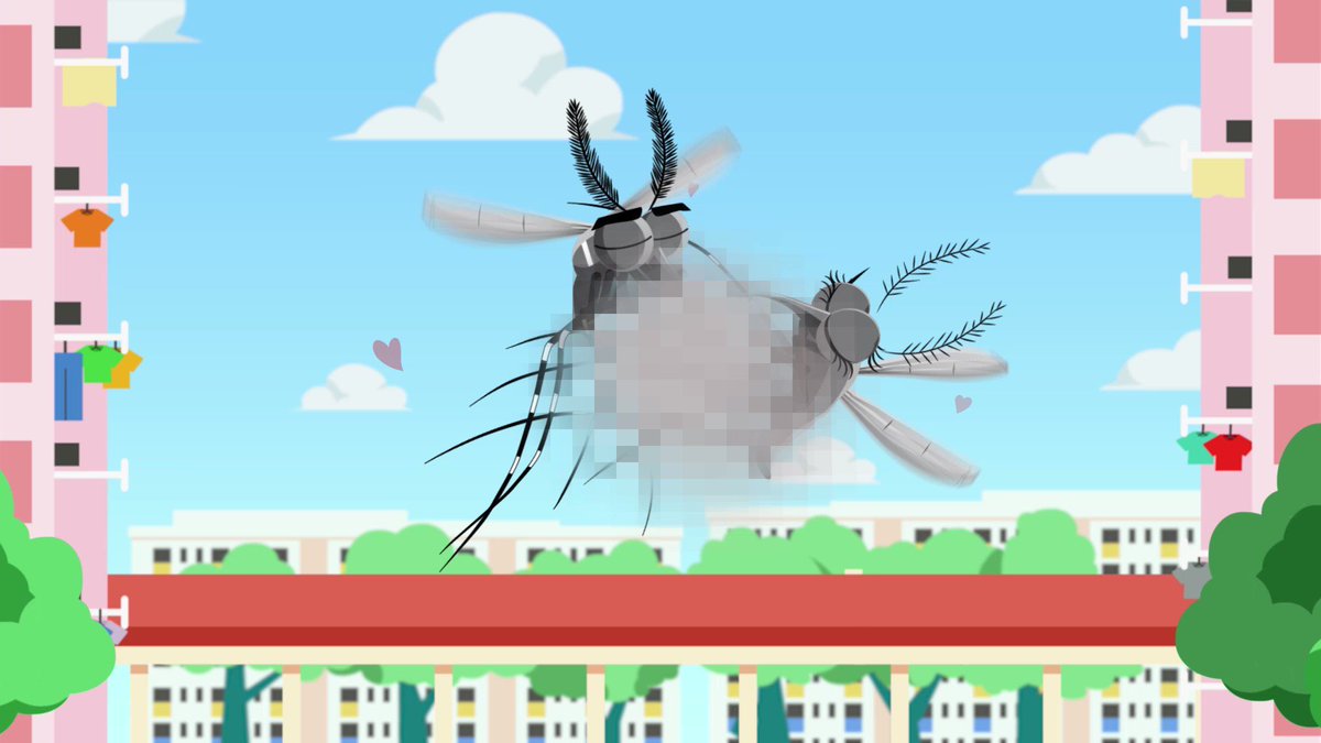 Singapore Government on Twitter "Is Project Wolbachia implemented at