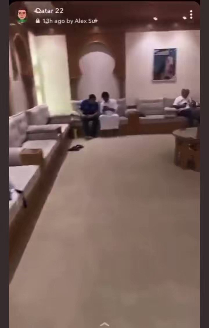 Inglês brinca com filhote de leão após xeque o convidar para palácio no Qatar; veja