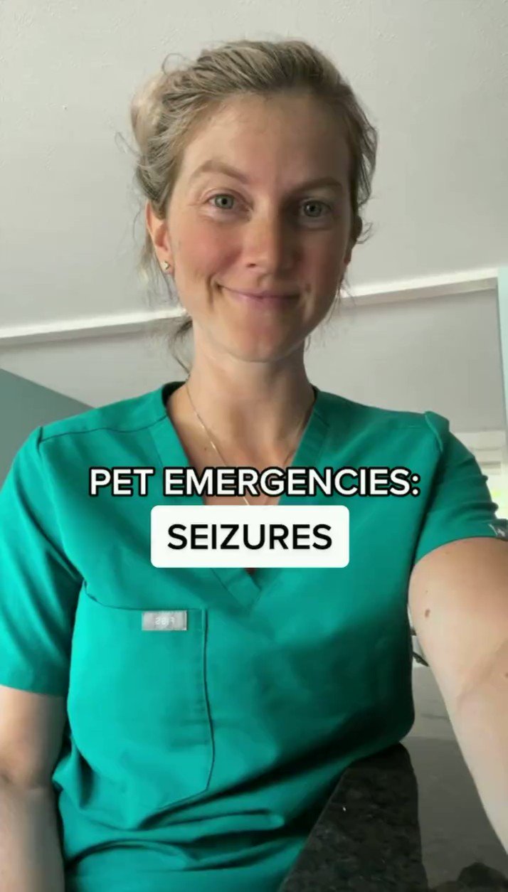 Veterinary Information Network / Twitter