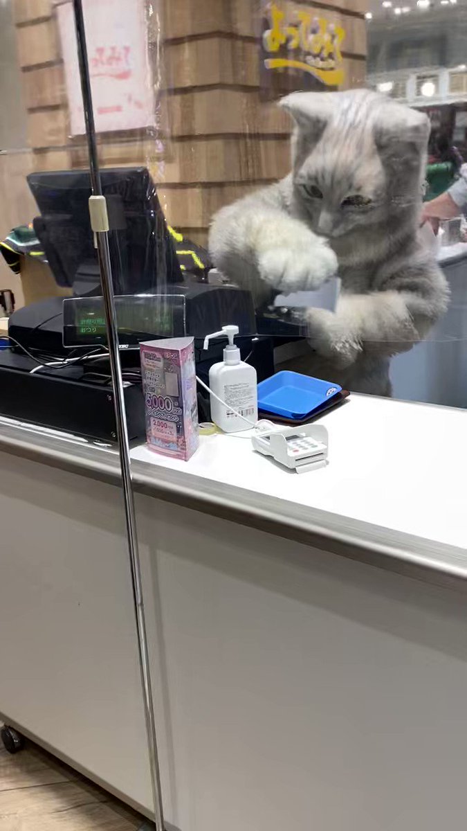 タグ 猫のレジ打ち の注目ツイート メガとんトラック