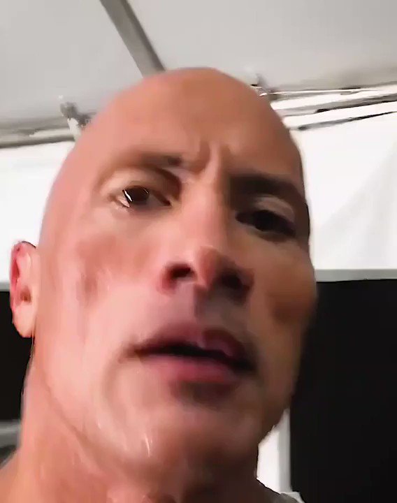 Dwayne 'The Rock' Johnson Reacts To Cow's Eyebrow Raise Video: I Wasn't  Expecting That