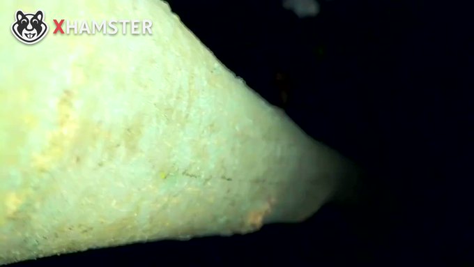 ?Just uploaded a new video to my xHamster channel!

?https://t.co/hhtt5QM5xc? @xhamstercom #xhamster