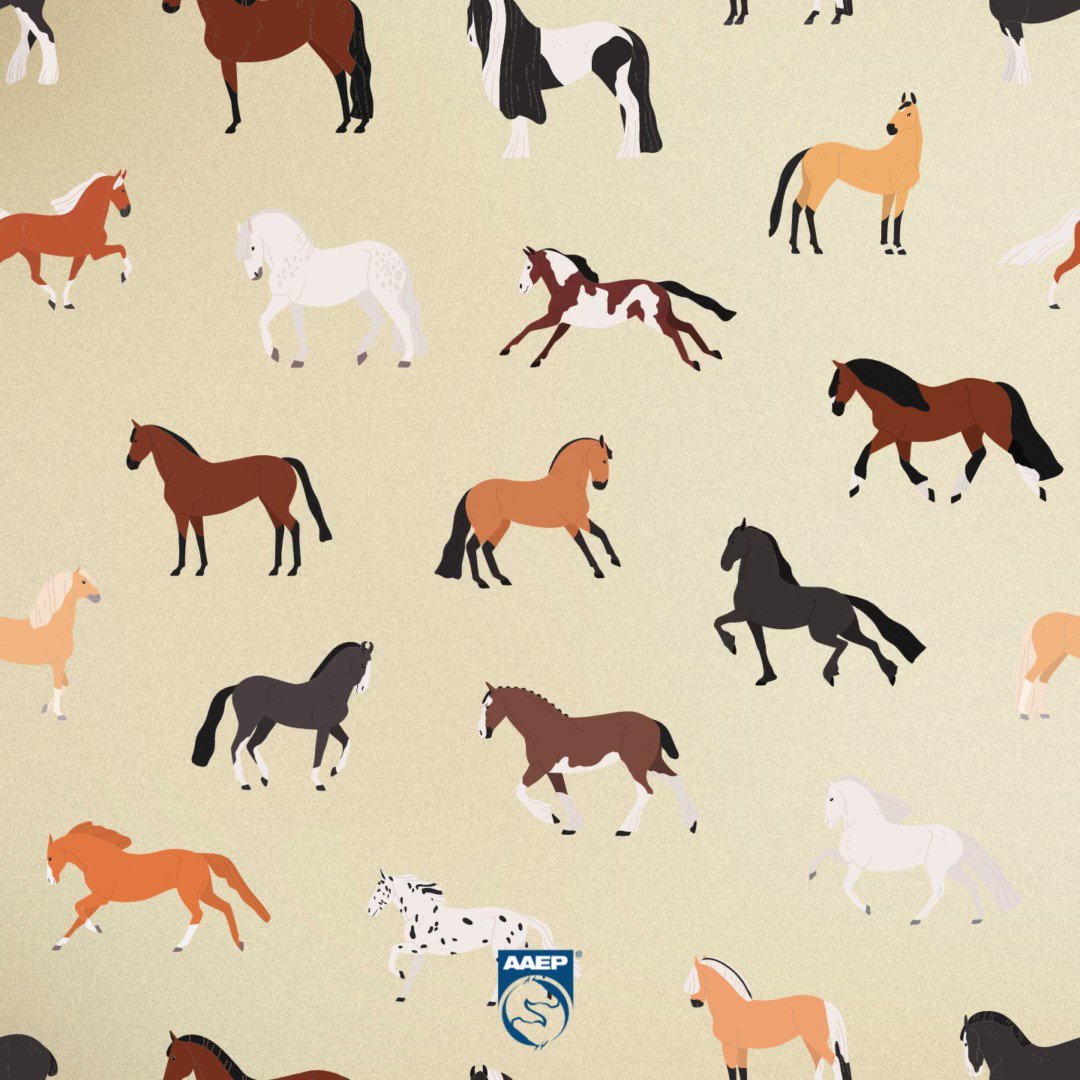 AAEP (@AAEPHorseDocs) / Twitter AAEP (@AAEPHorseDocs) / Twitter