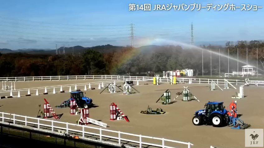 出番はまだだけど、サトノアーサーやエレヴァージュは、競馬場で誘導馬やってる子たちだよね？

#第14回JRAジャパンブリーディングホースショー 