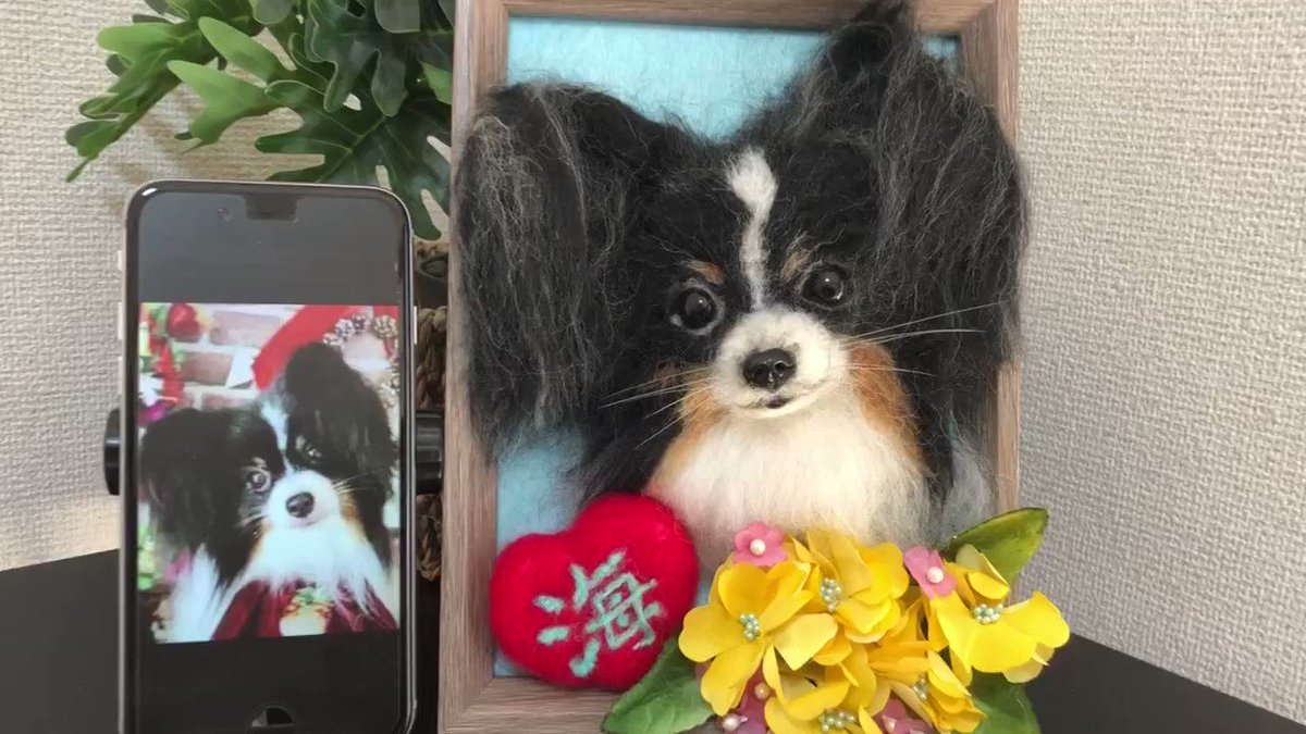わたわたペット 可愛い 柴犬さん(黒柴)羊毛フェルト作品