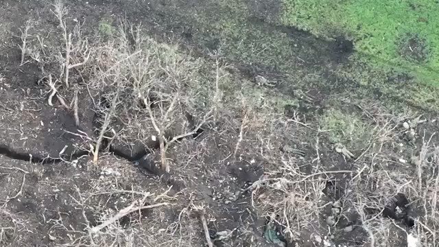 Re: [情報] 巴哈姆特的熊屍旅行團人數持續攀升