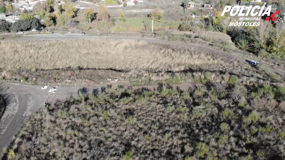 Tenemos un grave problema estructural con los vertidos ilegales que no para de incrementarse.
#Móstoles #Alcorcón #Navalcarnero #Arroyomolinos #Fuenlabrada y media #ComunidadDeMadrid
Aquí en el Mapa de Vertidos tenemos más. https://t.co/x4M2mBlv32
#NoMásVertidosIlegales
