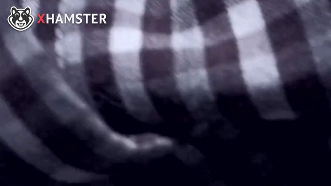 Elpadrote’s pics and videos