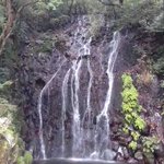 ツイートに含まれる画像