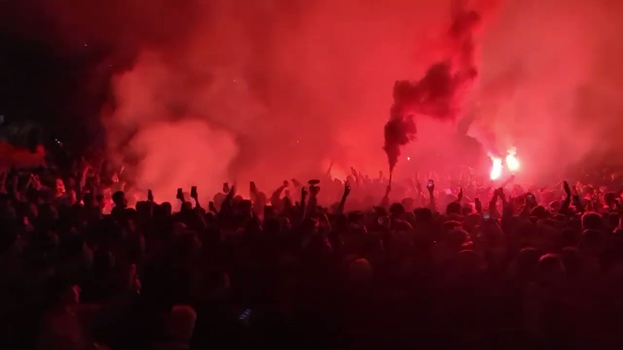 Code With Timat on Twitter "Australia fans going crazy after beating