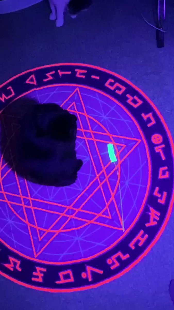 アガトラム＠渡り鴉メイドVTuber on Twitter 