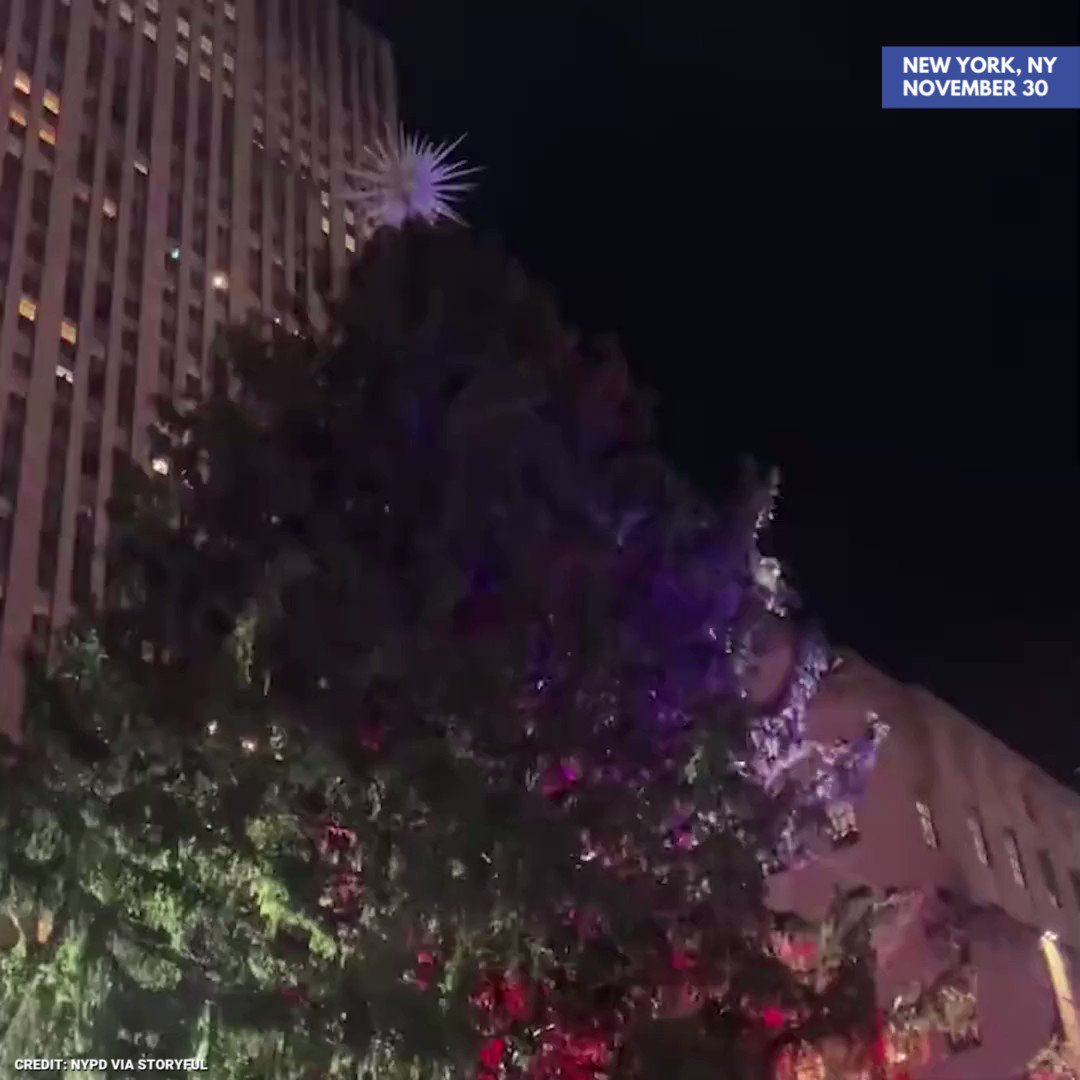 LIGHT THE TREE The Rockefeller Christmas Tree’s dazzling lights were