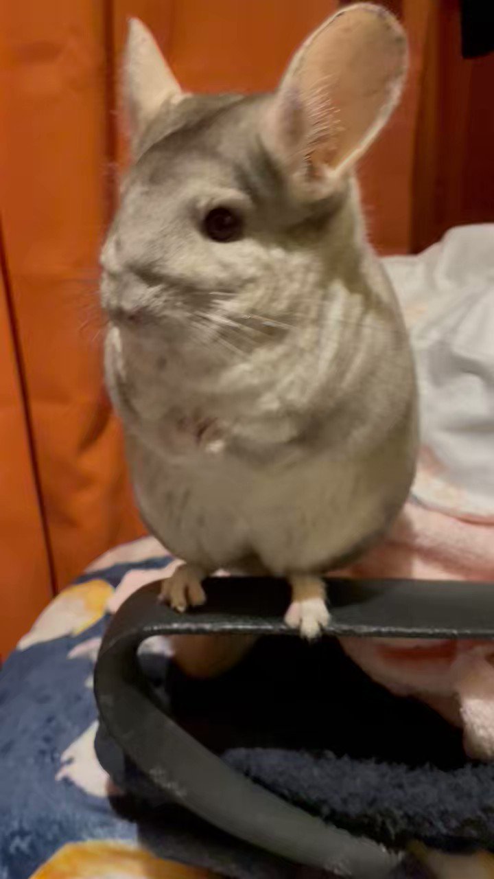 株元英彰 (k_bu_hide) / Twitter