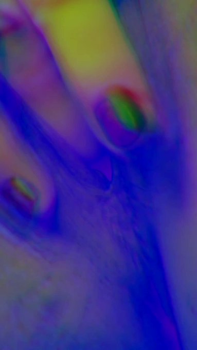 Alluringerotica’s pics and videos