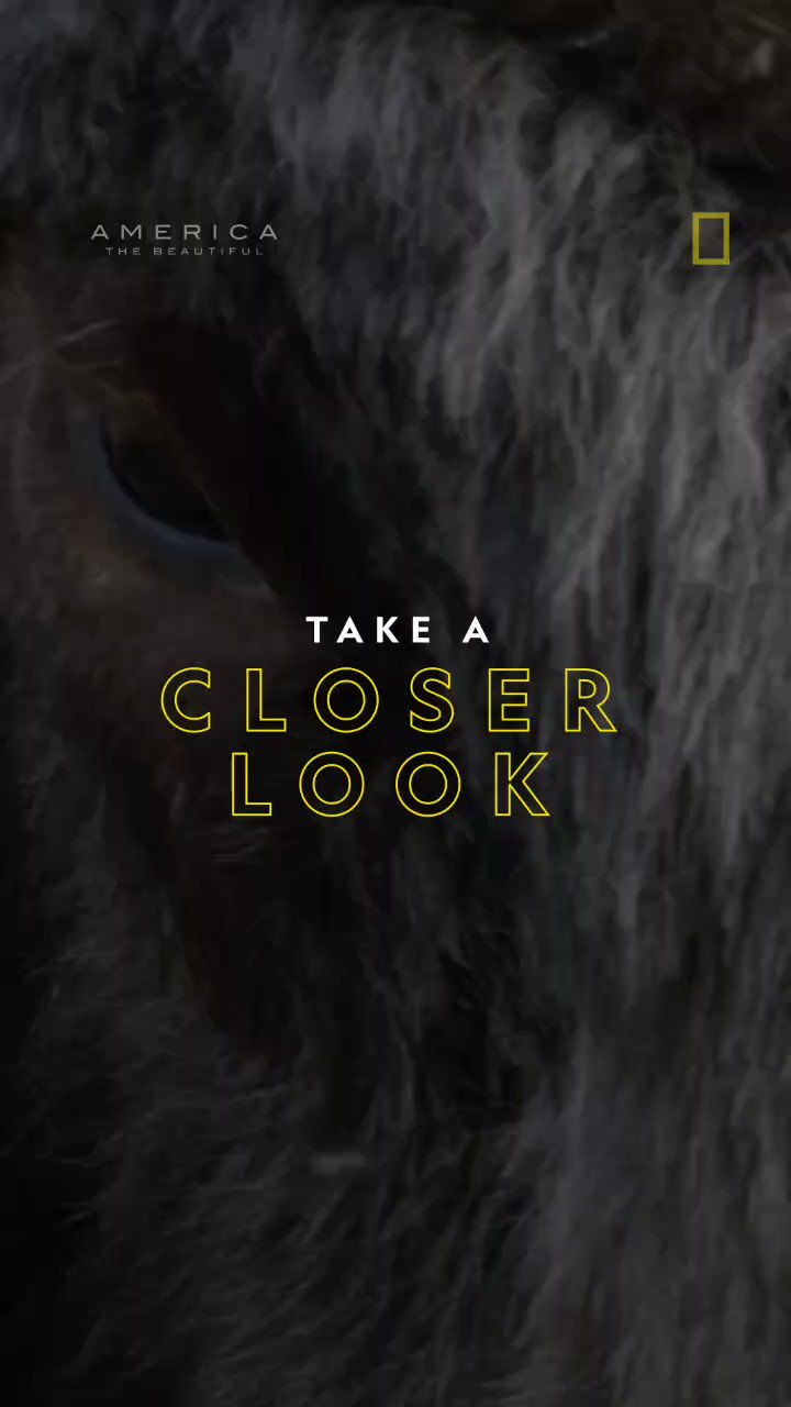 National geographic tv on twitter did you know these hairy facts