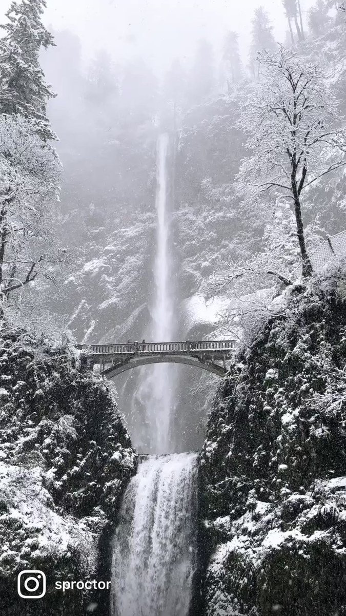 Just stopping by to cleanse your timeline with this incredible footage of Multnomah Falls, one of our state's many beautiful features.
Multnomah Falls is the highest waterfall in Oregon, standing tall at 620 ft. #OregonBlueBookfacts 