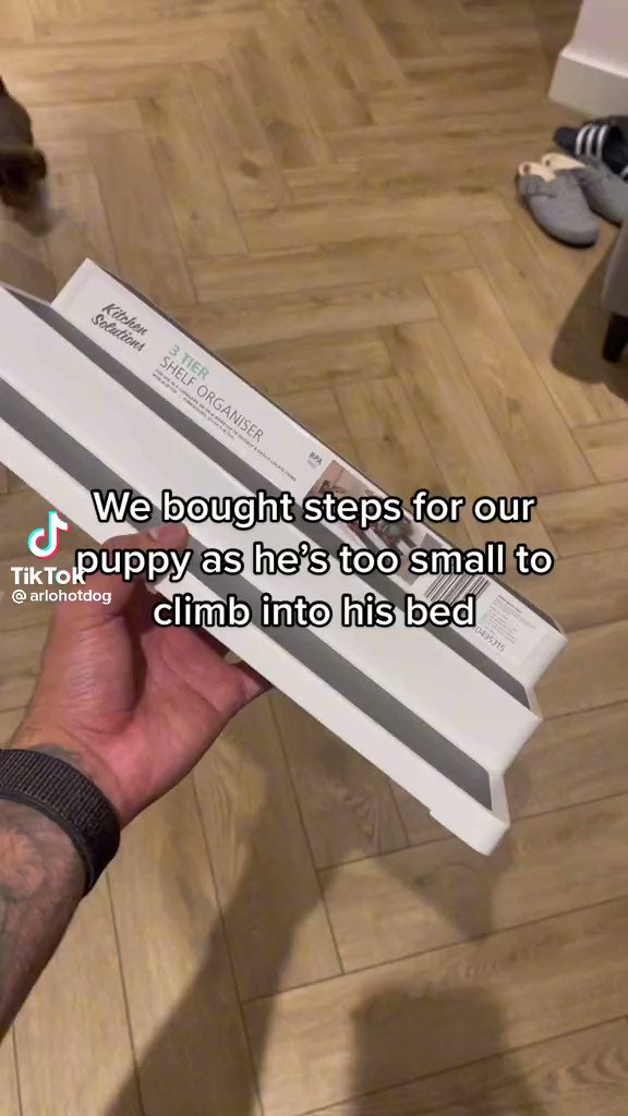 @dog_rates's photo on Tina