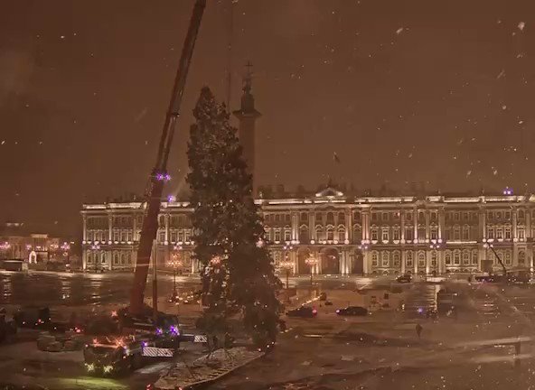 Елка на дворцовой площади 2022