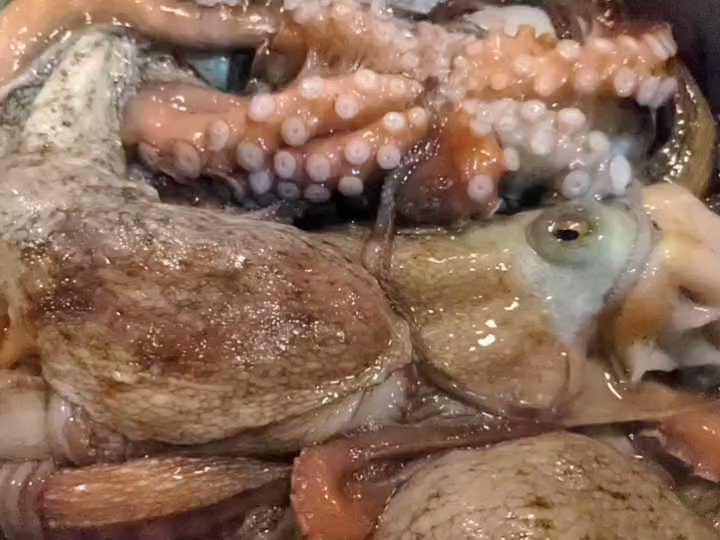 【マダコ】 １２月から鹿島のマダコが解禁です 当店の名物『真蛸の柔らか煮』 ぜひ味わってみてください