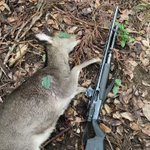 自分で撃った二ホンジカでレバニラ炒め作る動画。強すぎる。