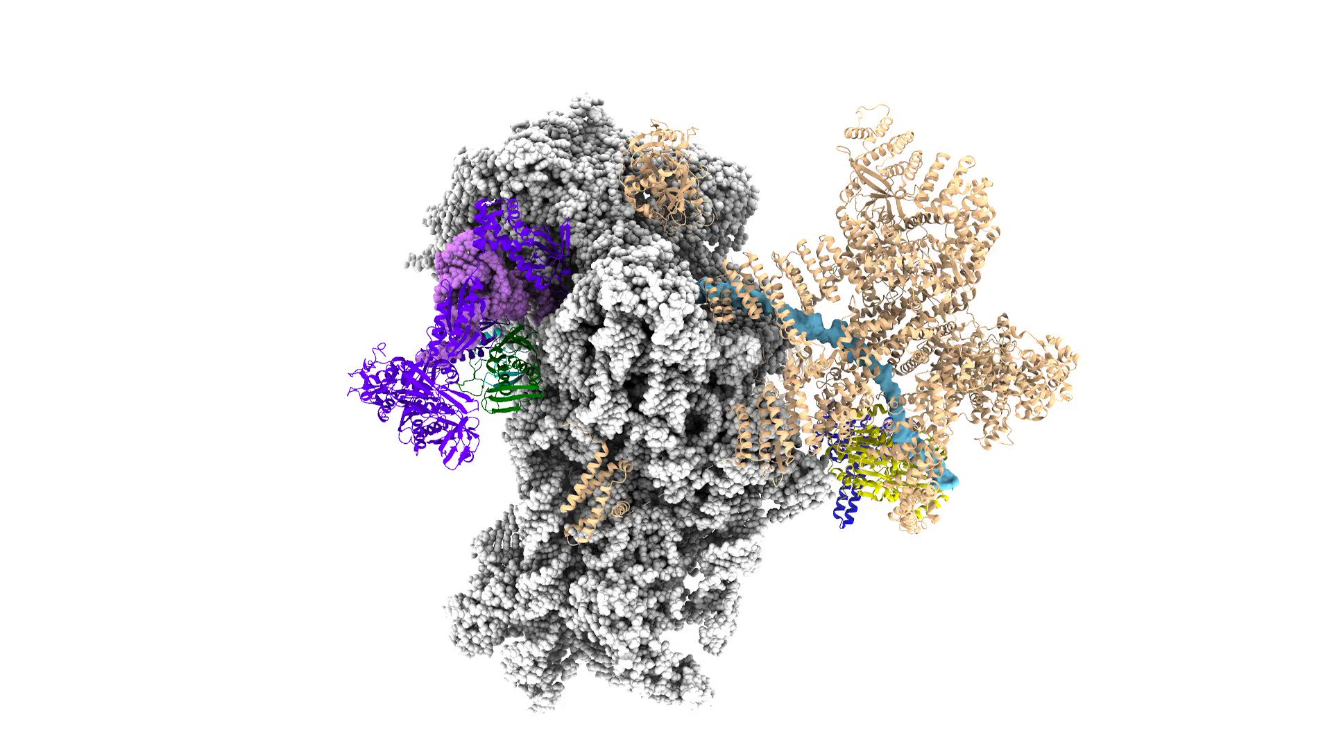 Jinwei Zhang Lab (jinweizhang) / Twitter