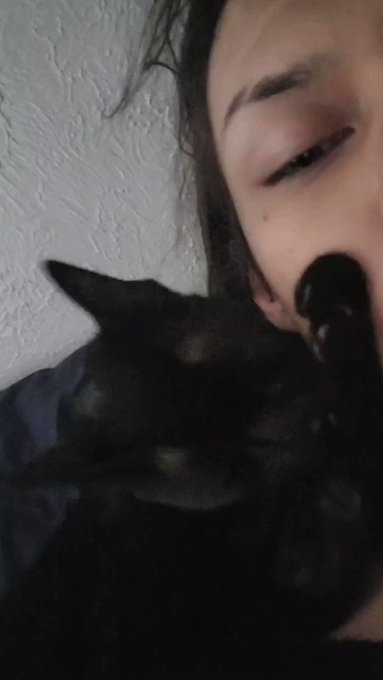 She is clean, receives kisses, and disregards personal space.

#CatsOfTwitter #BlackCat #pets https://t