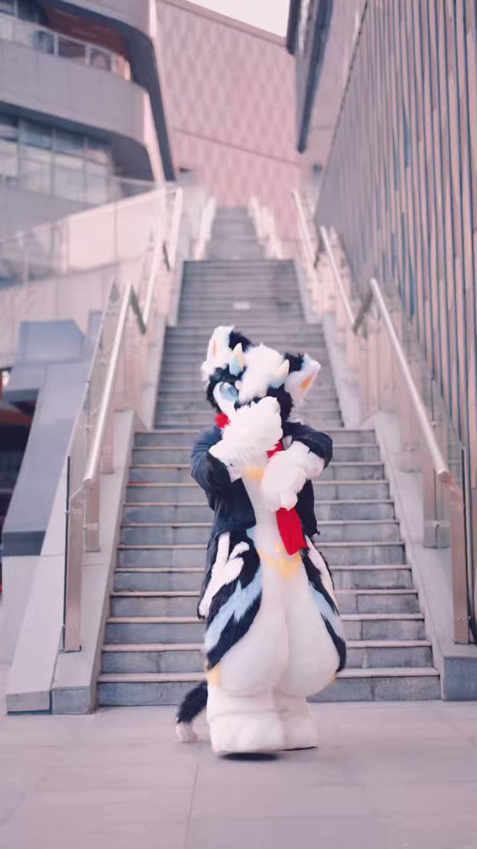 furry做爱    