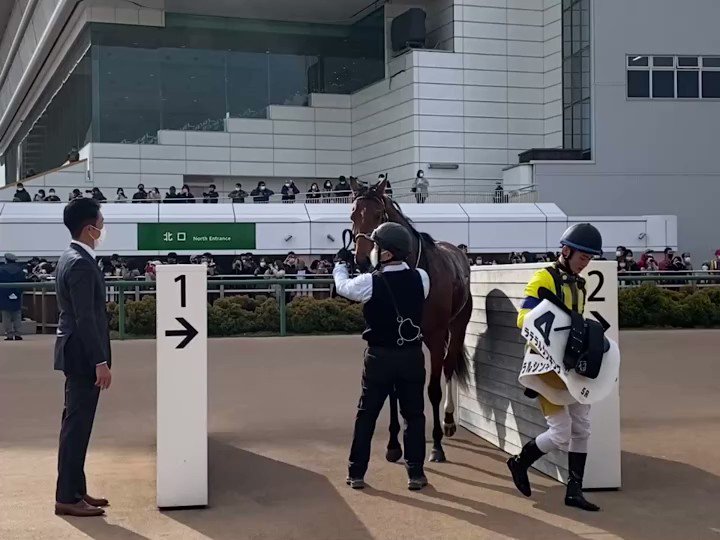 大好きだったサプルマインドの仔ラテラルシンキングが新馬勝ち！おめでとう㊗️ 