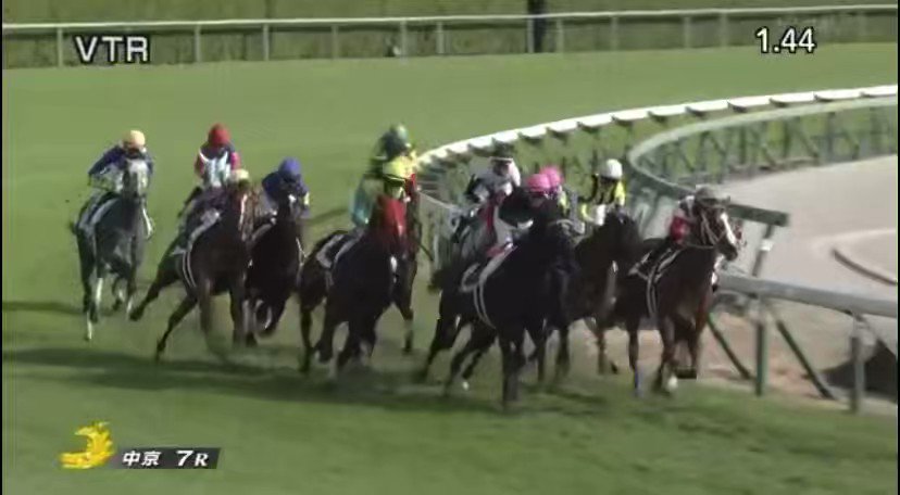 メイショウイナセって笠松のシンデレラグレイ賞出てたよね？？っ思ったらやっぱり出てた！応援馬券買ってたもん！  