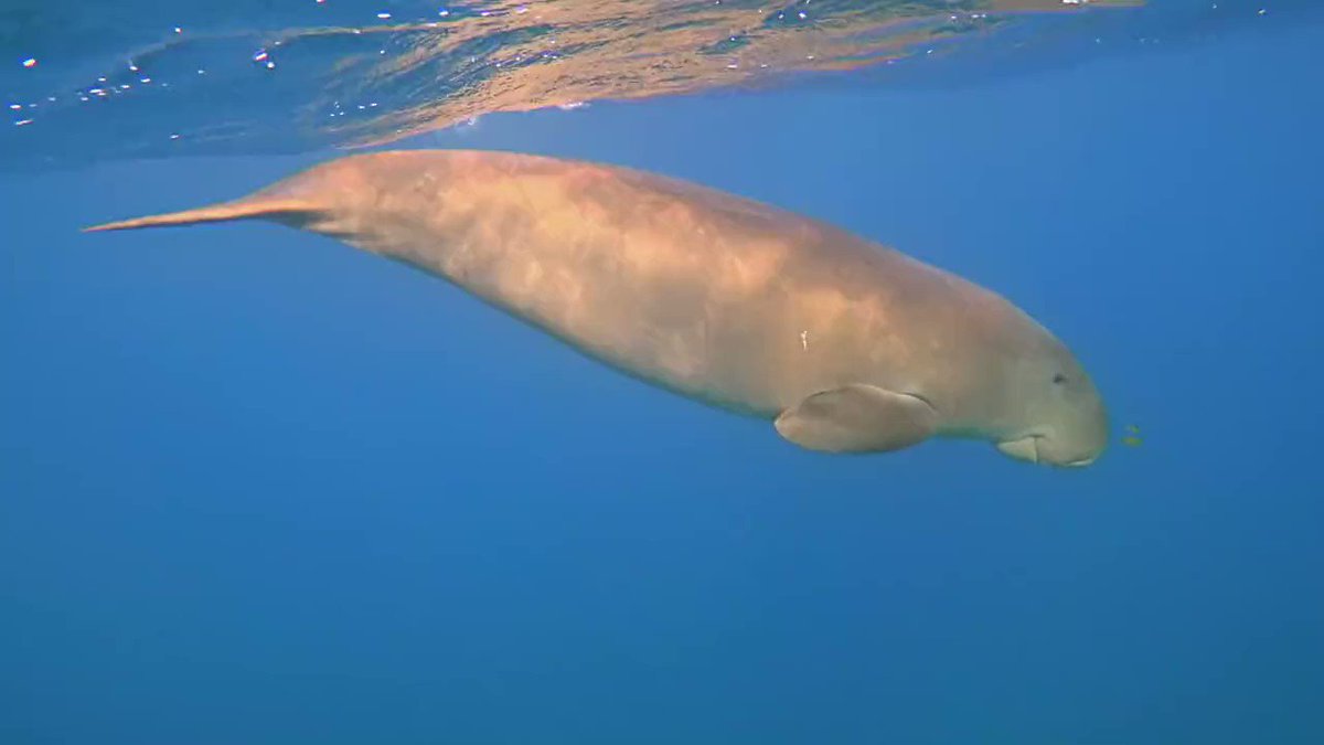 Eskom Expo for Young Scientists on Twitter: "Do you know the difference