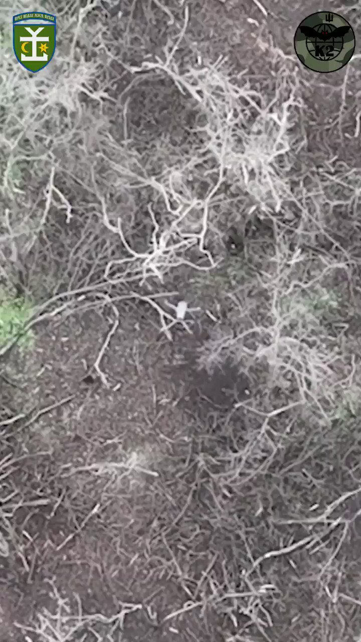 [情報] 烏軍官方戰報&統計 (12/14)