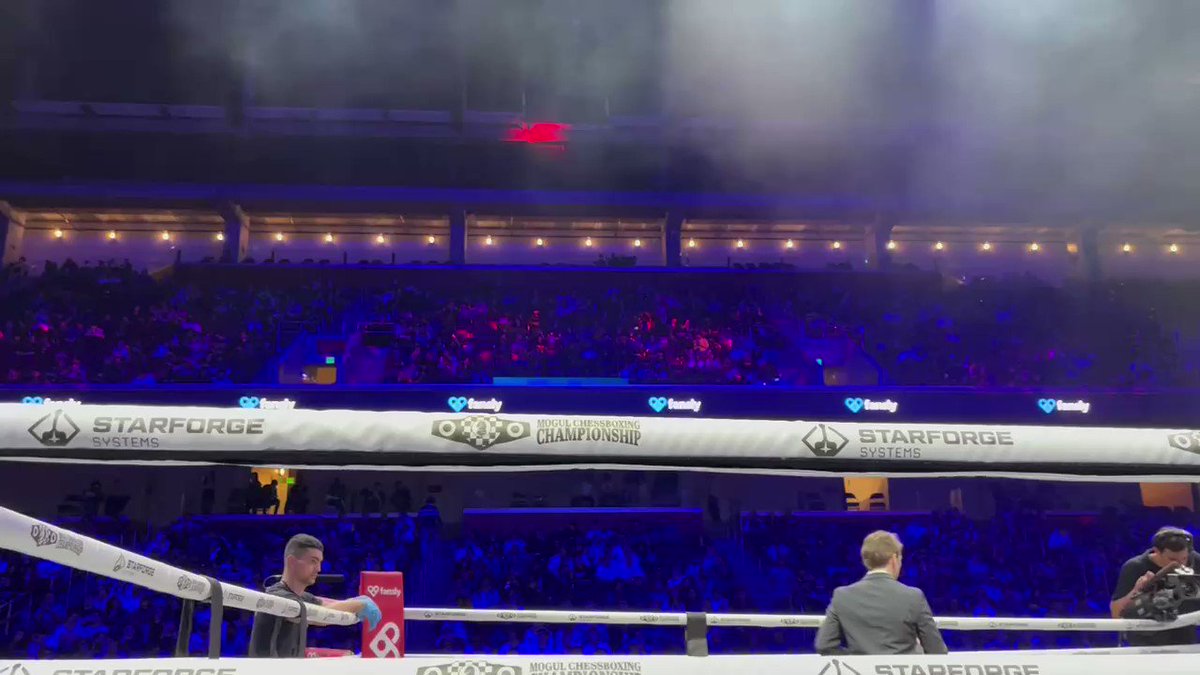 Ludwig's Chess Boxing Event Hooked Me On The Sport