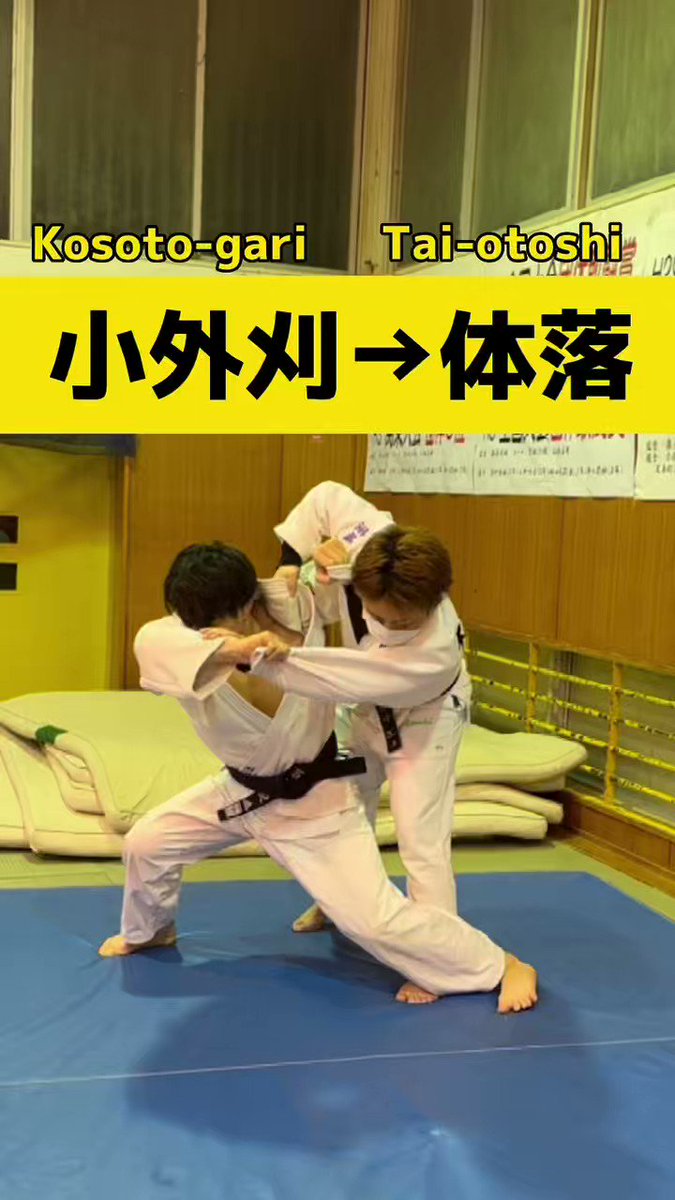 全日本柔道連盟 記念色紙8枚 アウトレットオーダー dioptra.com.mk
