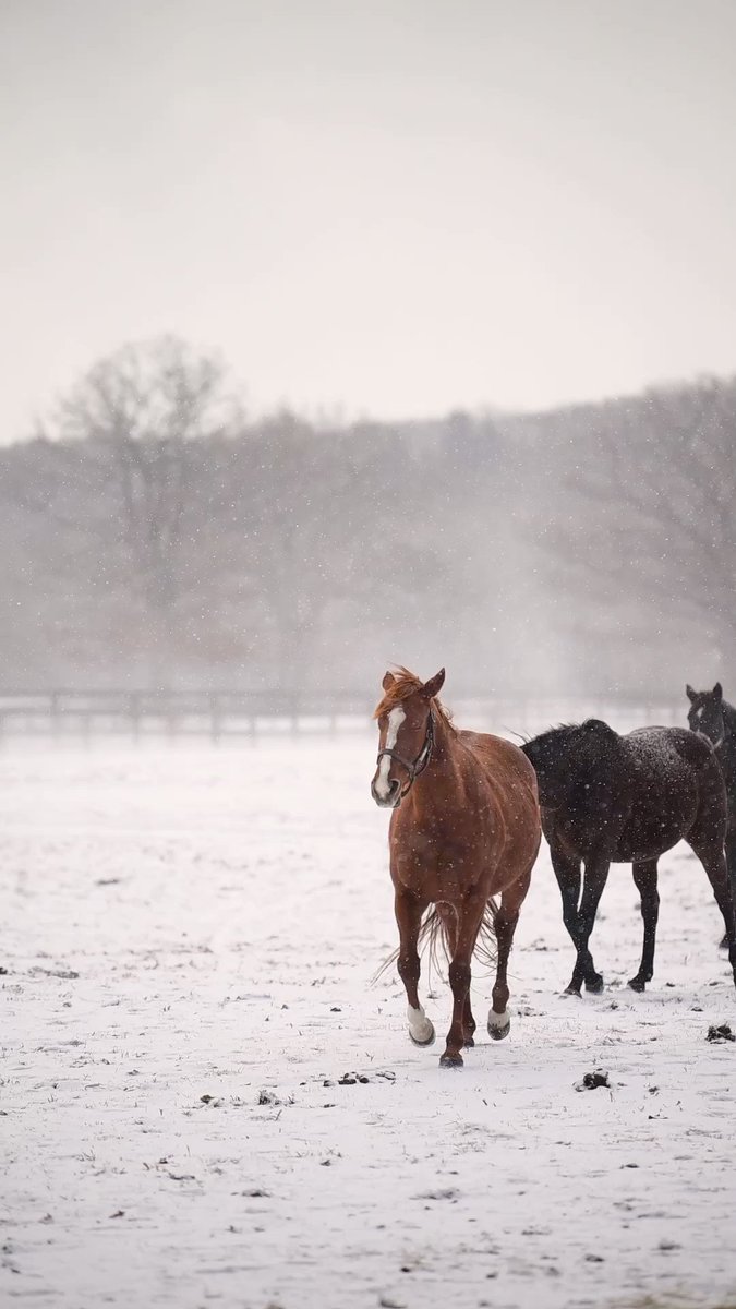 リトミカメンテちゃん～ママになります🥰 