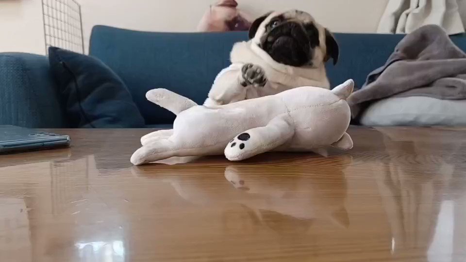 ♡パグ様ご確認♡ 楽天市場】全機種対応 パグの通販