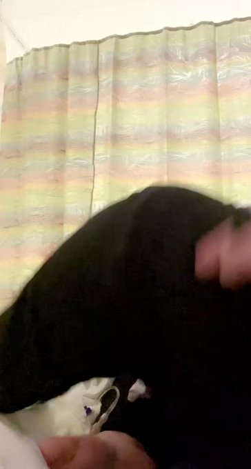 hospital chronicles. #bbw #ass #titties #hospital #onlyfansgirl #FolloForFolloBack #twitterafterdark<a href="/tag/bbw"class="tags">#bbw</a><a href="/tag/ass"class="tags">#ass</a><a href="/tag/titties"class="tags">#titties</a><a href="/tag/hospital"class="tags">#hospital</a><a href="/tag/twitterafterdark"class="tags"><span>#twitterafterdark</span></a><a href="/tag/folloforfolloback"class="tags"><span>#folloforfolloback</span></a><a href="/tag/onlyfan"class="tags"><span>#onlyfan</span></a>