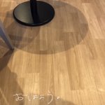 ポメラニアンのコロちゃん🐻❄️(11)のツイート画像
