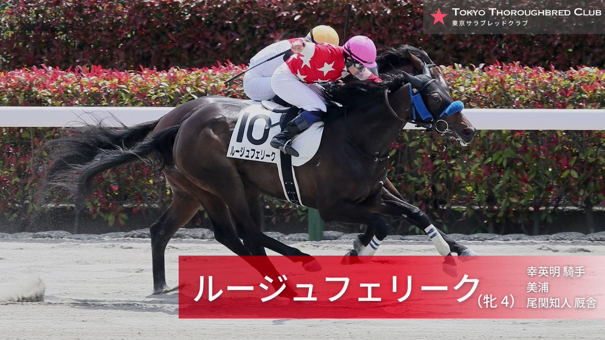 がんばれ～　幸ジョッキーを背に幸あれ
#ルージュフェリーク 