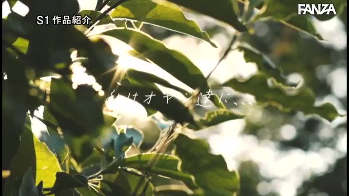 あんなに嫌がっていた妻が町内会キャンプにどハマりした中年オ… 夢乃あいか https://t.co/adkjKzz6j6