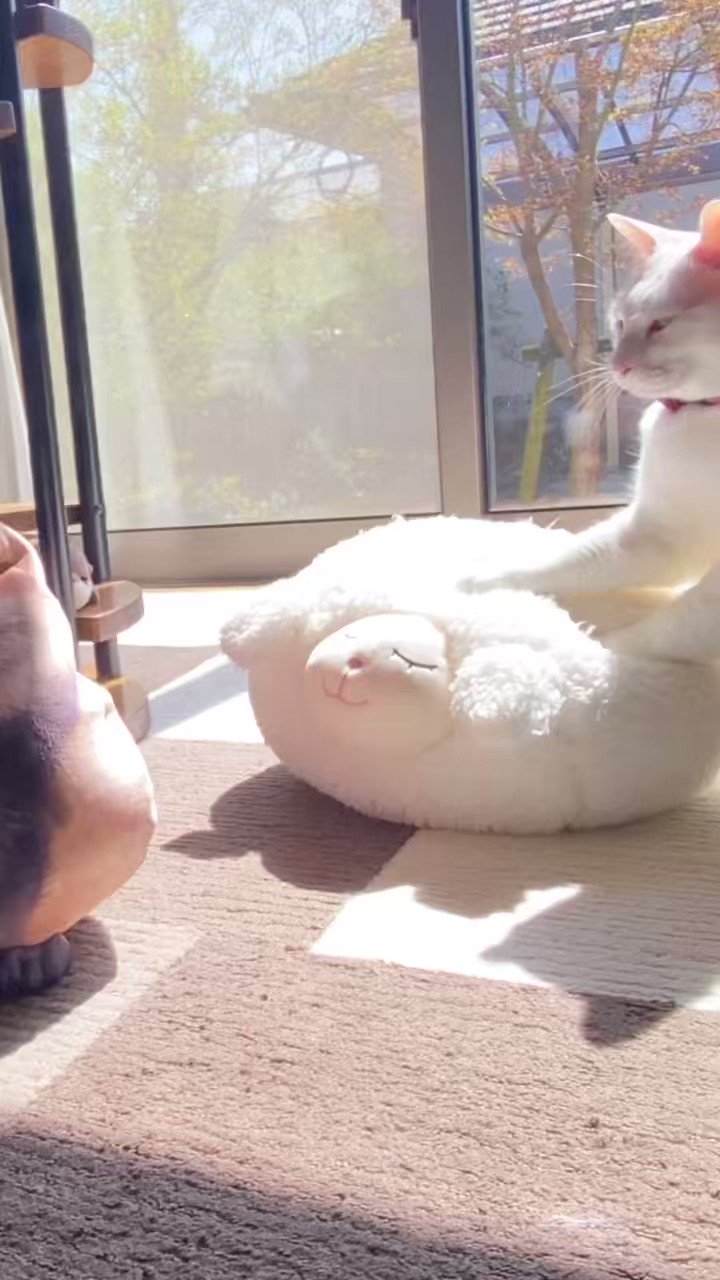 ベリオ (erosky_berio) / Twitter