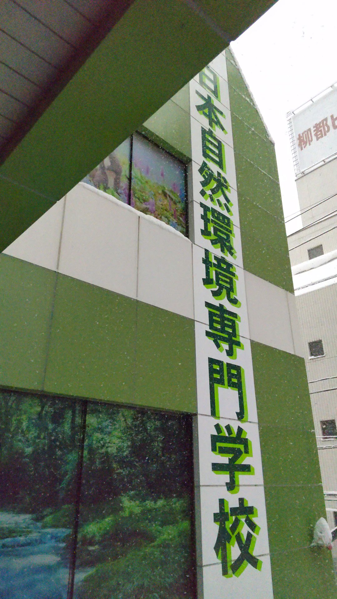 日本自然環境専門学校 公式 Jeco Caretech Twitter